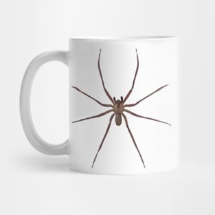 Brown Recluse Mug